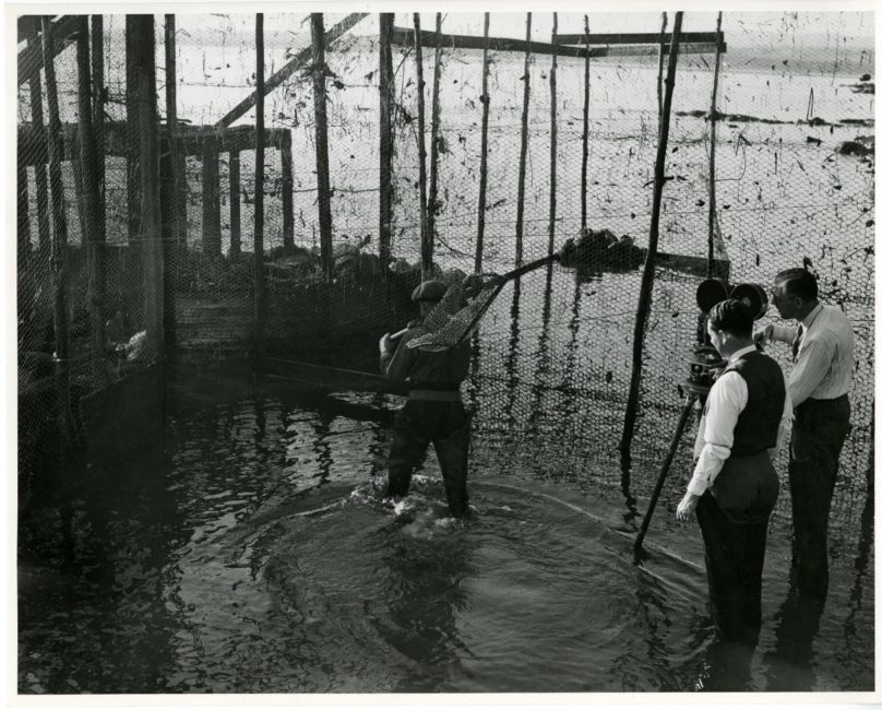 Outdoors. A fisherman is being filmed by a camera operator and his assistant. The three men and the camera’s tripod are all standing in the water.