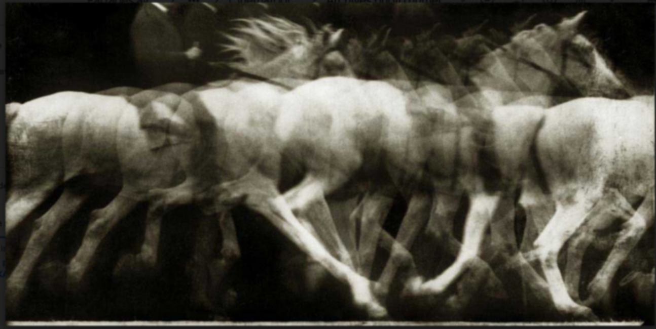 Décomposition du mouvement d’un cheval blanc au galop monté par un homme.